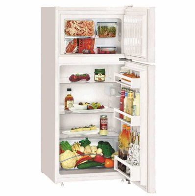Двокамерний холодильник Liebherr CT 2131 CT 2131 фото