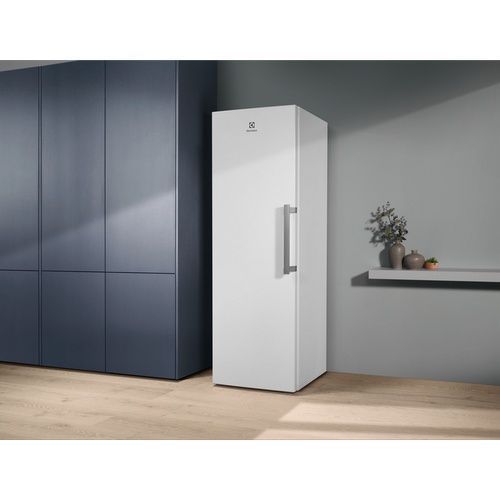 Морозильна камера Electrolux (RUT5NF28W1) RUT5NF28W1 фото
